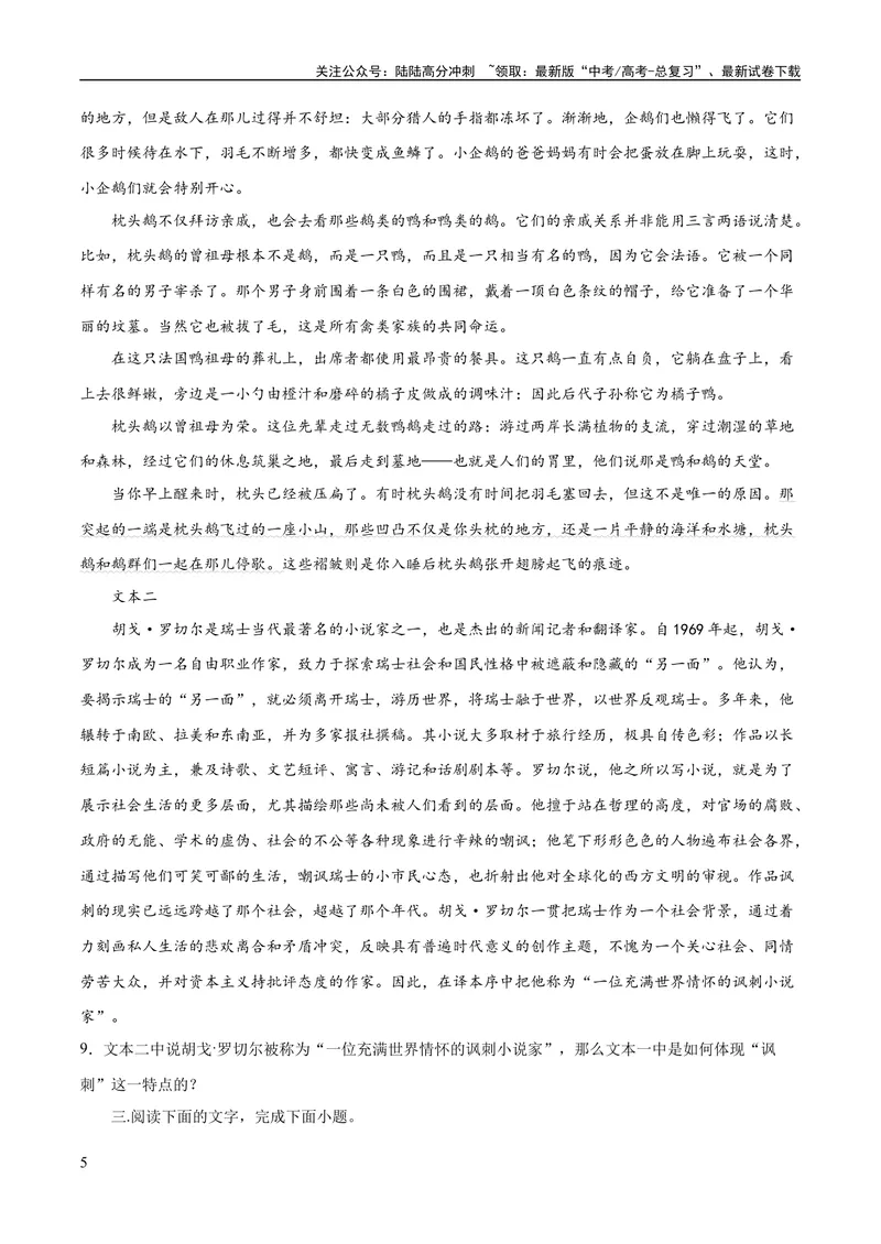 《专题11小说的反套路题型（练习）-2024年高考语文二轮复习讲练测（新教材新高考）(原卷版)_二轮复习_2024年_2024年高考语文二轮复习讲练测（新教材新高考）_配套练习》第5页预览