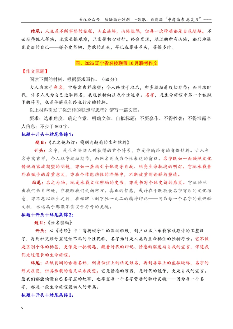 《专题09十一市10月下旬模考作文拟题＋开头＋结尾集锦_专项复习_2026年-语文专项复习_2026年高考语文议论文写作秘籍-G391_资料》第5页预览