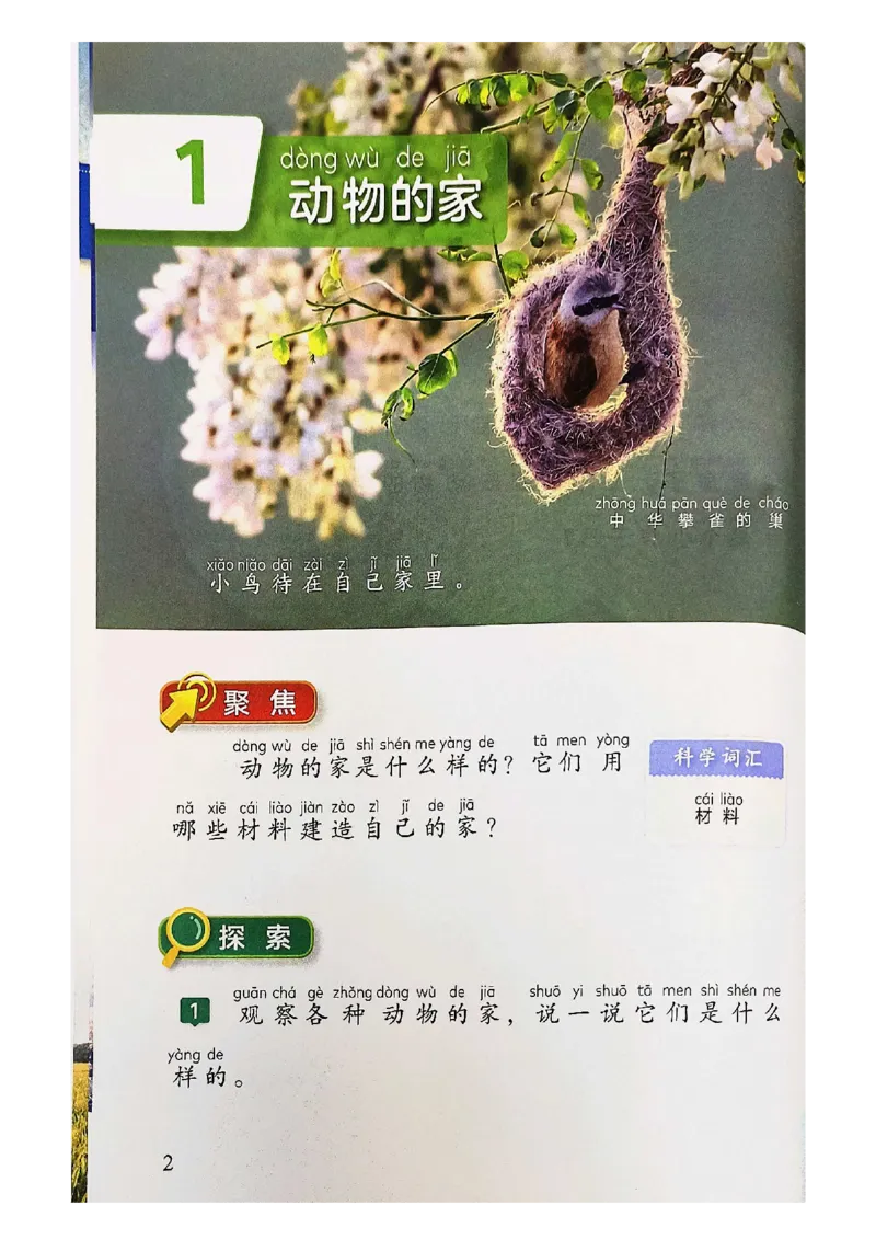 《科学教科版2年级上册（2024秋）_小学1-6年级全科全套_2025更新专题（含教材）_寒假预复习必备资料2024新版小学教材电子版_小学科学_教科版（无水印）》第8页预览