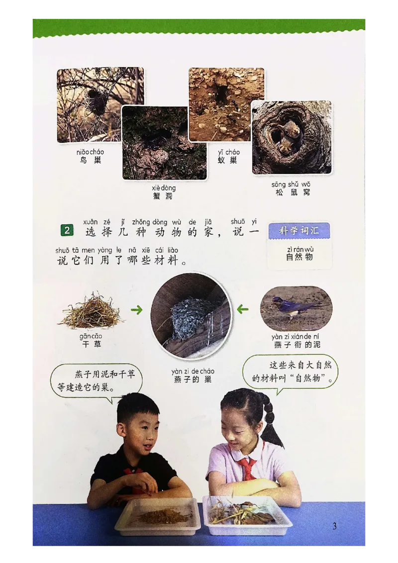《科学教科版2年级上册（2024秋）_小学1-6年级全科全套_2025更新专题（含教材）_寒假预复习必备资料2024新版小学教材电子版_小学科学_教科版（无水印）》第9页预览