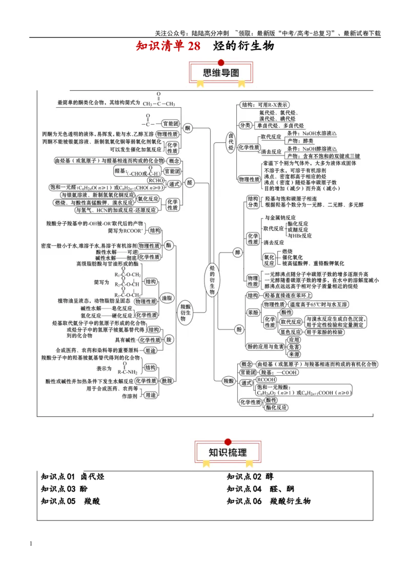《知识清单28烃的衍生物-2024年高考化学一轮复习知识清单_05-化学-高考总复习_一轮复习_2024年_2024年高考化学一轮复习知识清单必背总结全国通用_资料》第1页预览