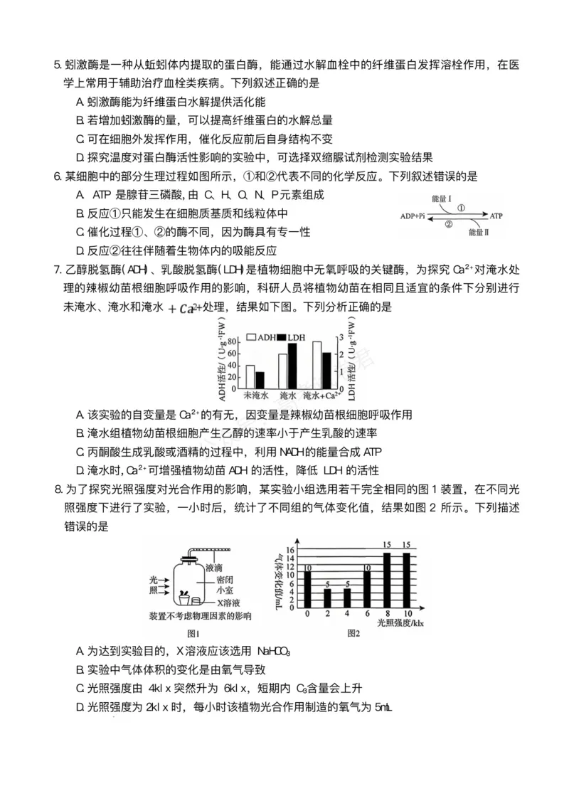 《湖南天壹名校联盟2025年下学期高三9月联考+生物_小初高学习资料合集（每天更新）_湖南天壹9月联考2026届湖省南天壹名校联盟高三9月联考全科》第2页预览