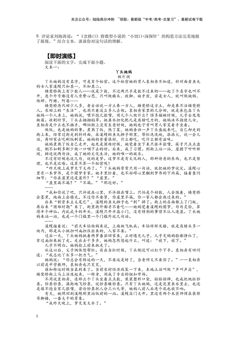 《专题08小说阅读，突破主观题（二）-（原卷版）_二轮复习_2024年_2024年高考语文二轮专题讲练_资料》第5页预览