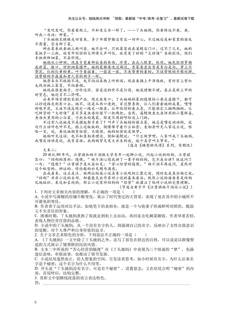 《专题08小说阅读，突破主观题（二）-（原卷版）_二轮复习_2024年_2024年高考语文二轮专题讲练_资料》第6页预览