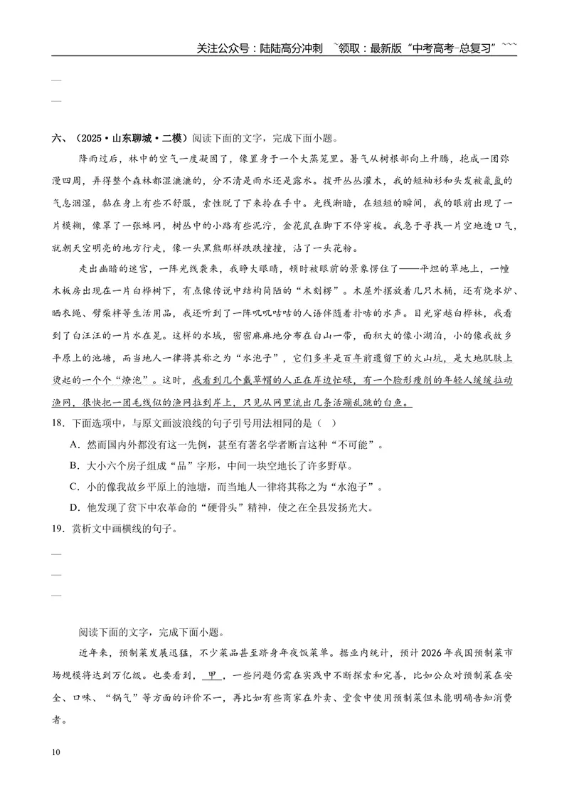 《专题06语言文字运用（学生版）_专项复习_2026年-语文专项复习_2025年高考语文二模试题分类汇编（新高考专用）_2025版_第02期广东、山东、河南、湖南、湖北、江西》第10页预览