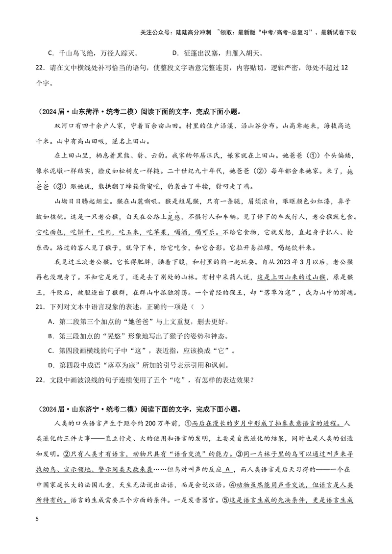 《专题07语言文字运用2（原卷版）（新高考通用）_专项复习_2025年_2024年高考二模试题分类汇编语文新高考通用_824》第5页预览