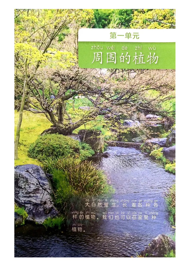 《科学教科版1年级上册（2024秋）_小学1-6年级全科全套_2025更新专题（含教材）_寒假预复习必备资料2024新版小学教材电子版_小学科学_教科版（无水印）》第7页预览