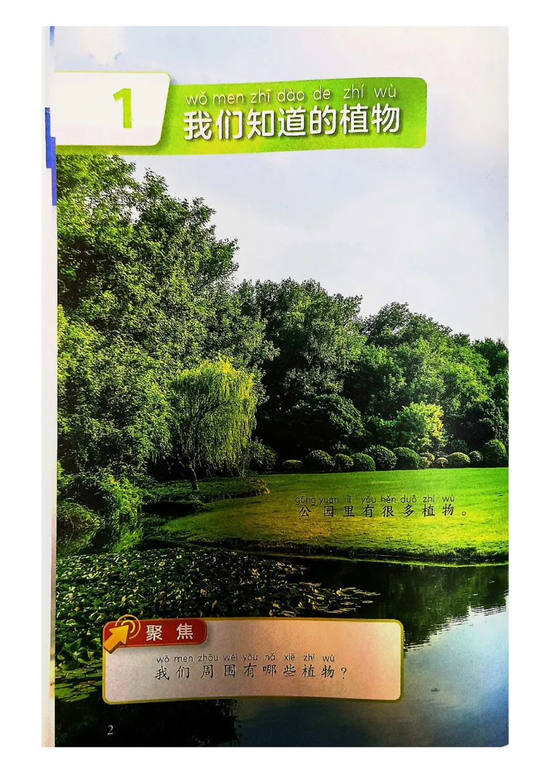《科学教科版1年级上册（2024秋）_小学1-6年级全科全套_2025更新专题（含教材）_寒假预复习必备资料2024新版小学教材电子版_小学科学_教科版（无水印）》第8页预览