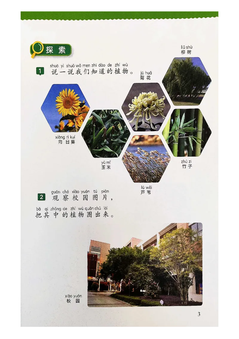 《科学教科版1年级上册（2024秋）_小学1-6年级全科全套_2025更新专题（含教材）_寒假预复习必备资料2024新版小学教材电子版_小学科学_教科版（无水印）》第9页预览