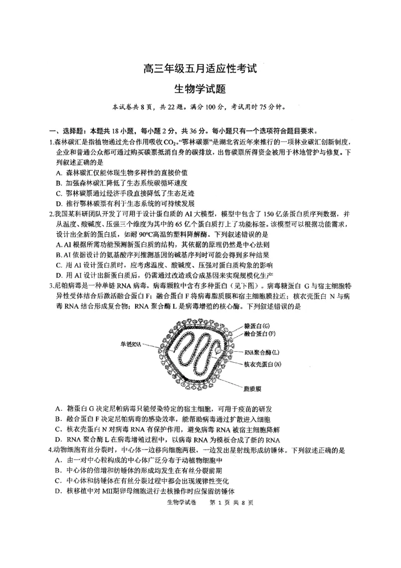 《华中师范大学第一附属中学2026届高三年级五月适应性考试生物_2024-2027高三（6-6月题库）_2026年05月高三试卷》第1页预览