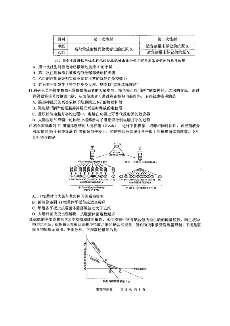 《华中师范大学第一附属中学2026届高三年级五月适应性考试生物_2024-2027高三（6-6月题库）_2026年05月高三试卷》第3页预览