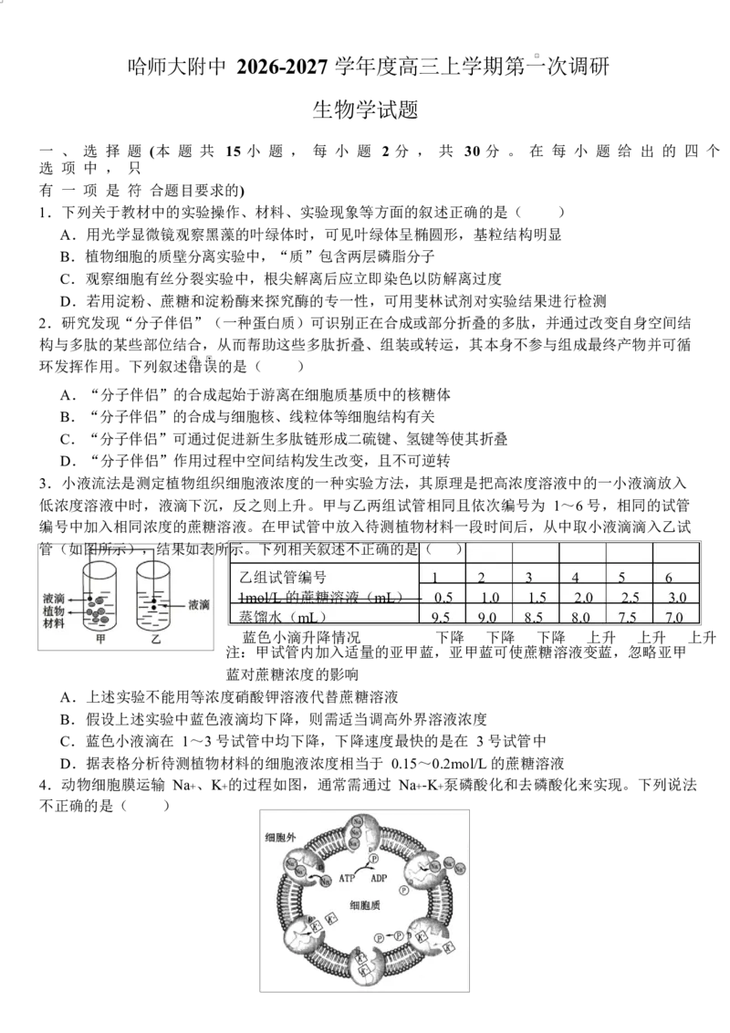 《哈尔滨师范大学附属中学2026-2027学年上学期高三第一次调研考试生物_小初高学习资料合集（每天更新）_哈尔滨师范大学附属中学2026-2027学年上学期高三第一次调研考试》第1页预览