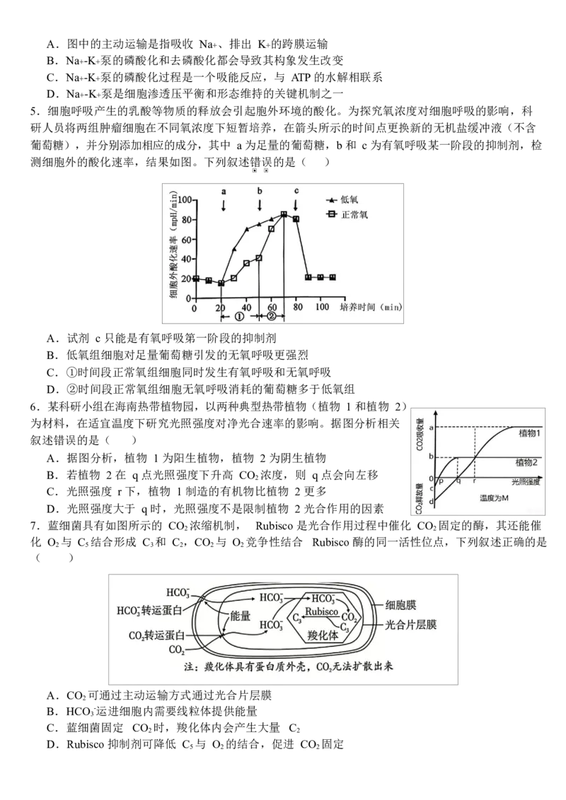 《哈尔滨师范大学附属中学2026-2027学年上学期高三第一次调研考试生物_小初高学习资料合集（每天更新）_哈尔滨师范大学附属中学2026-2027学年上学期高三第一次调研考试》第2页预览