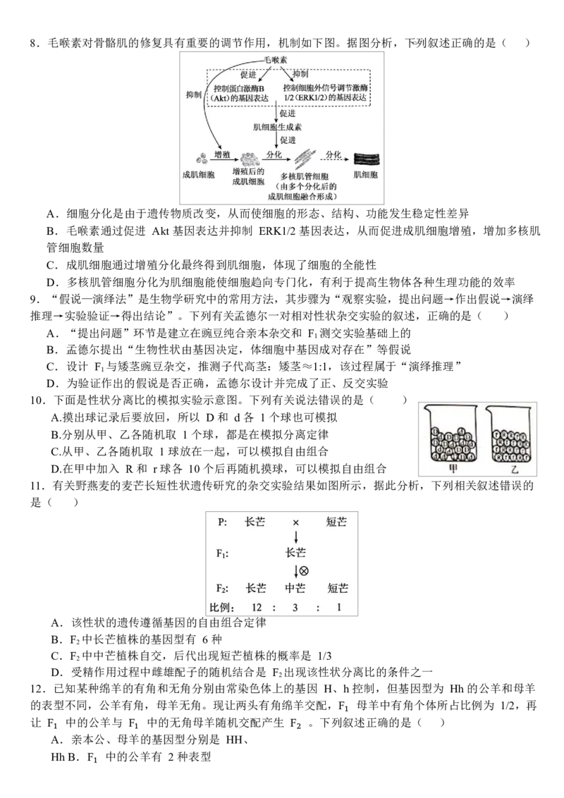 《哈尔滨师范大学附属中学2026-2027学年上学期高三第一次调研考试生物_小初高学习资料合集（每天更新）_哈尔滨师范大学附属中学2026-2027学年上学期高三第一次调研考试》第3页预览