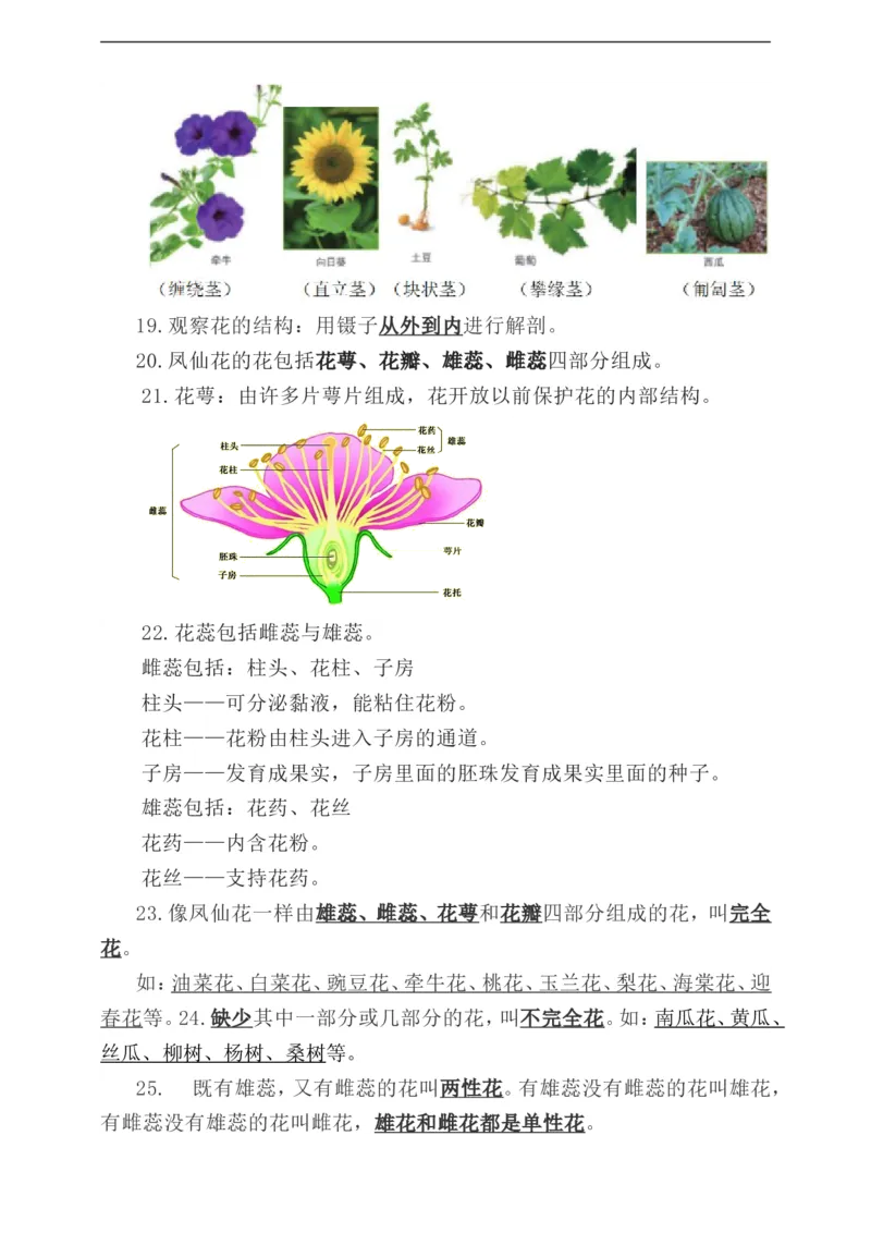 《教科版科学四下复习知识点归纳_小学1-6年级全科全套_1-6年级全科下册_四年级_其他补充资料_热门资料_科学》第4页预览