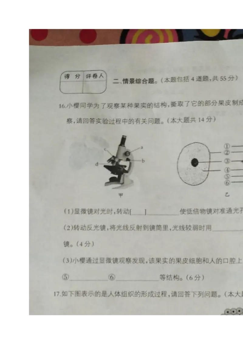 《河北省安平县马店乡北郭村农业中学等三校2017-2018学年七年级上学期期末联考生物试题（图片版，无答案）_初中全科目同步习题+精品试卷（7-9年级）(1)_25秋初中生物《同步习题+精品试卷》》第3页预览