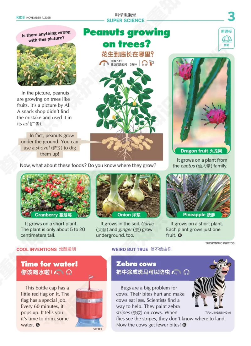 《21世纪报小学版839_小初高学习资料合集（每天更新）_《二十一世纪英文报》2025年1月-12月（小学版）》第3页预览