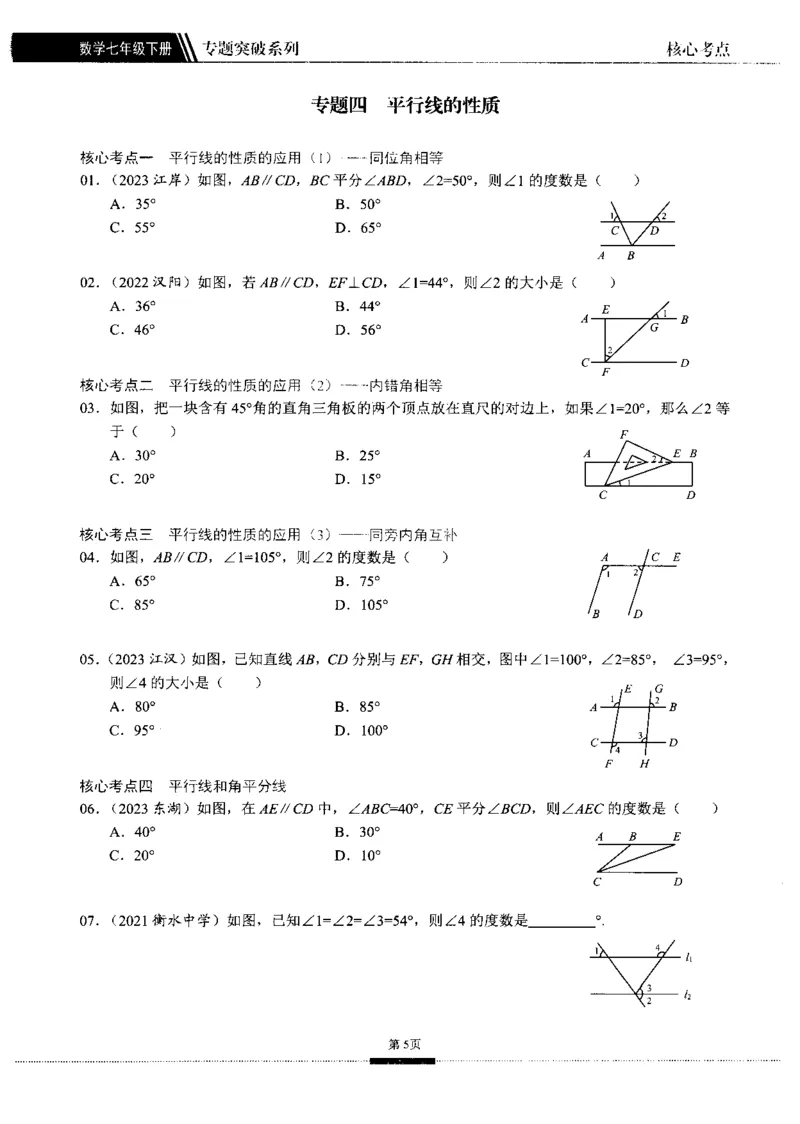 《核心考点-初中数学7年级下册_初中全科目同步习题+精品试卷(7-9年级)(1)_25秋初中数学《同步习题+精品试卷》_初中数学人教版试卷_初中数学人教版7-9年级上册_《核心考点》_817》第10页预览