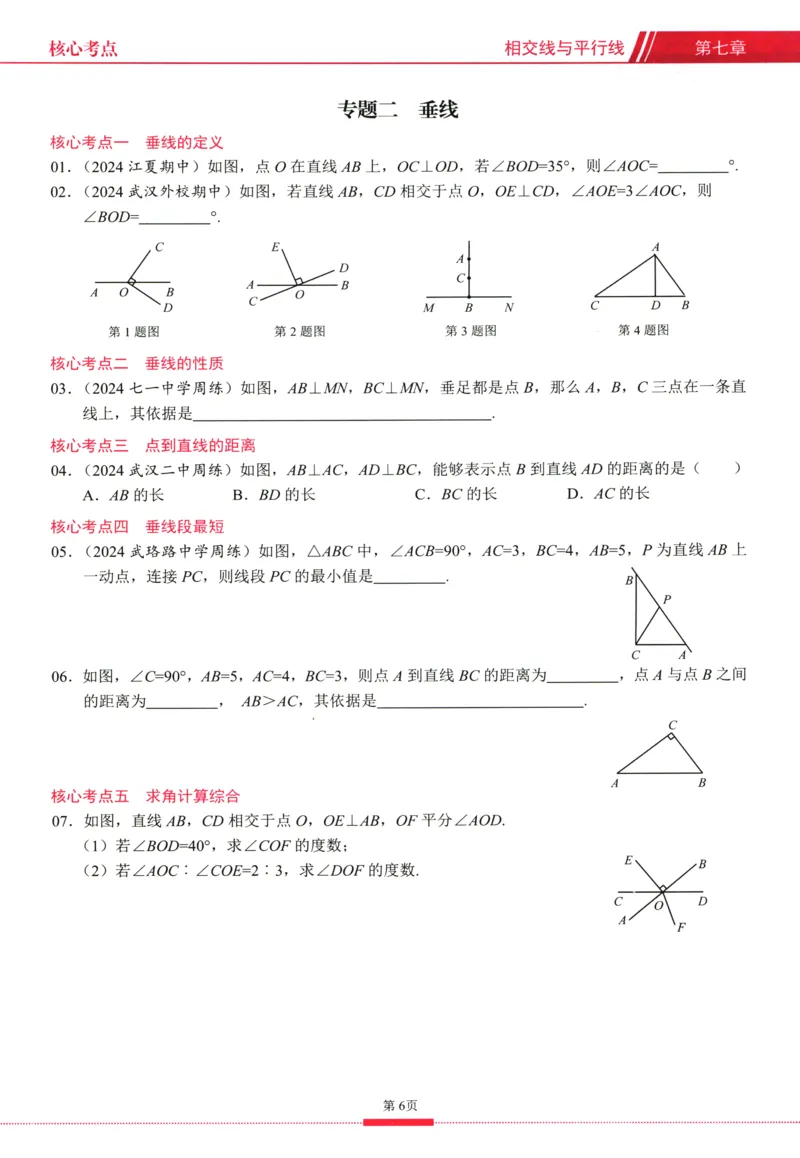 《核心考点-初中数学-7下_初中全科目同步习题+精品试卷(7-9年级)(1)_25秋初中数学《同步习题+精品试卷》_初中数学人教版试卷_初中数学人教版7-9年级下册_《核心考点》25春》第8页预览