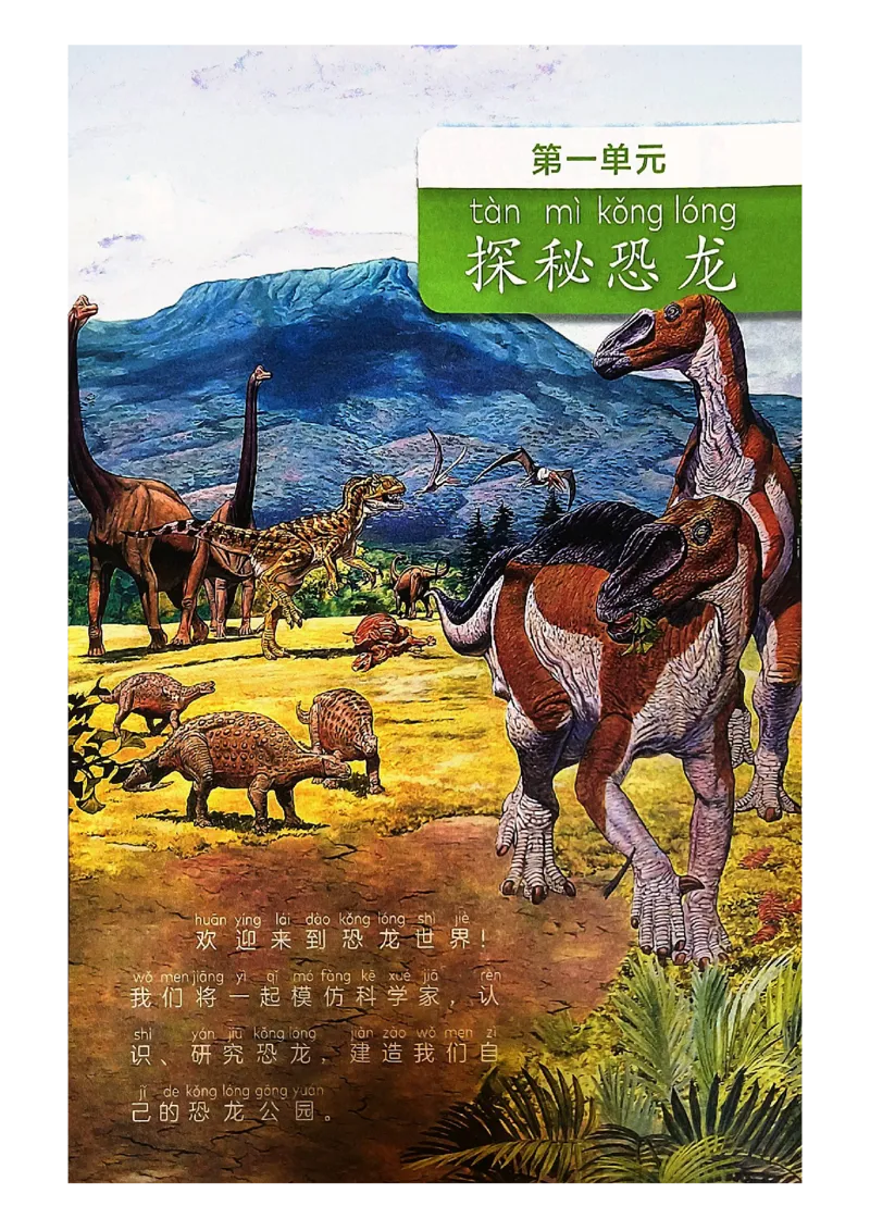 《科学教科版2年级下册（2024秋）_小学1-6年级全科全套_2025更新专题（含教材）_寒假预复习必备资料2024新版小学教材电子版_小学科学_教科版（无水印）》第5页预览