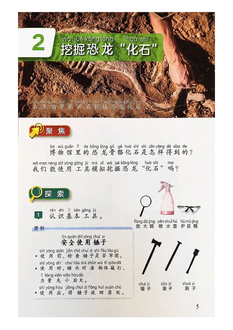 《科学教科版2年级下册（2024秋）_小学1-6年级全科全套_2025更新专题（含教材）_寒假预复习必备资料2024新版小学教材电子版_小学科学_教科版（无水印）》第9页预览