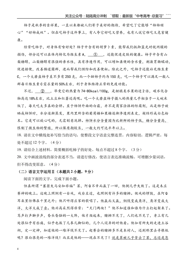 《专题05：语言文字应用（学生版）_专项复习_2026年-语文专项复习_2025年高考语文一模试题分类汇编（云南专用）》第4页预览