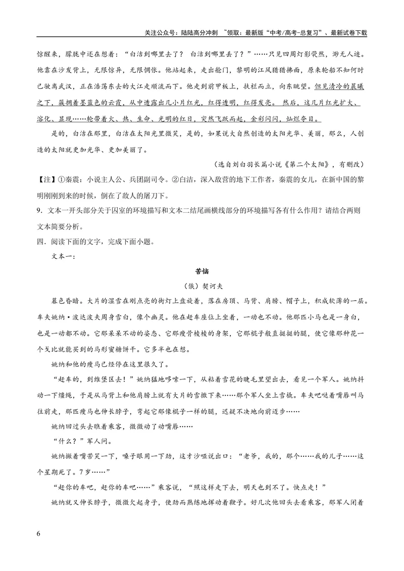 《专题09读懂小说的环境（练习）-2024年高考语文二轮复习讲练测（新教材新高考）(原卷版)_二轮复习_2024年_2024年高考语文二轮复习讲练测（新教材新高考）_配套练习》第6页预览