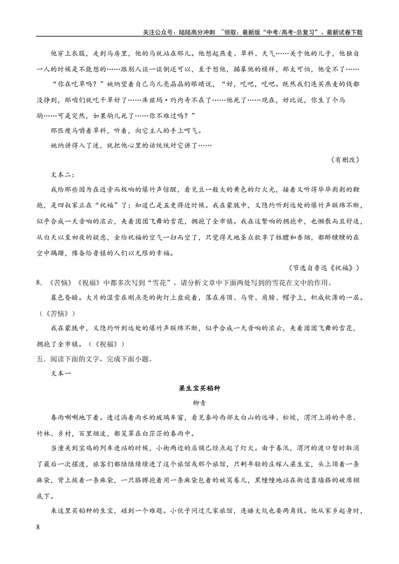 《专题09读懂小说的环境（练习）-2024年高考语文二轮复习讲练测（新教材新高考）(原卷版)_二轮复习_2024年_2024年高考语文二轮复习讲练测（新教材新高考）_配套练习》第8页预览