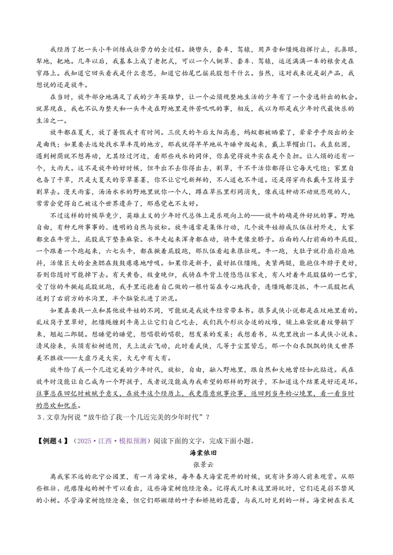《专题06散文之词句篇（讲义）（全国通用）（学生版）(1)_二轮复习_2026年-语文二轮复习_22026年高考语文二轮复习现代文阅读（全国通用）》第7页预览