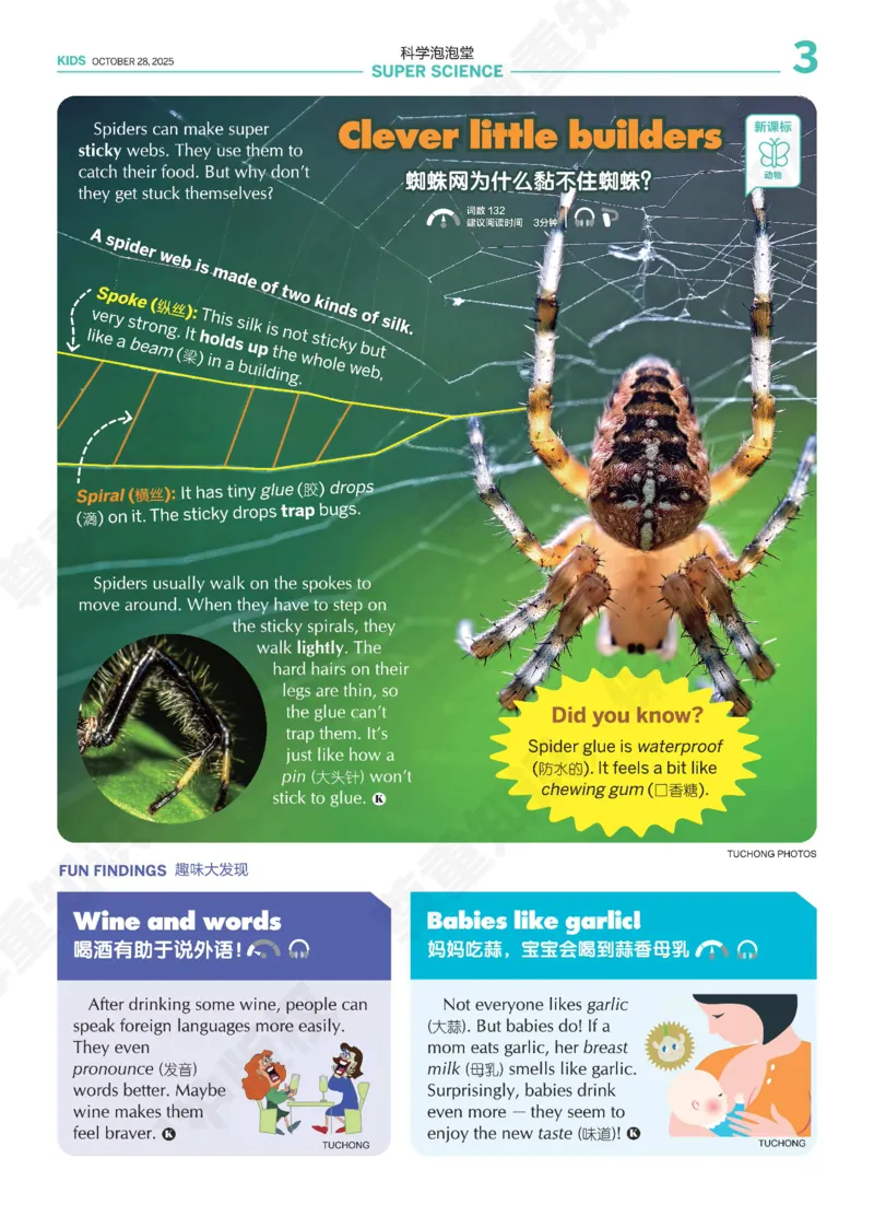 《21世纪报小学版838_小初高学习资料合集（每天更新）_《二十一世纪英文报》2025年1月-12月（小学版）》第3页预览