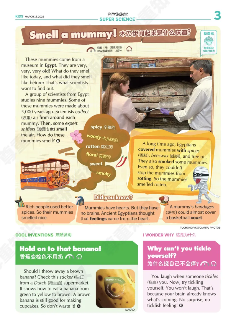 《21世纪报小学版816_小初高学习资料合集（每天更新）_《二十一世纪英文报》2025年1月-12月（小学版）》第3页预览