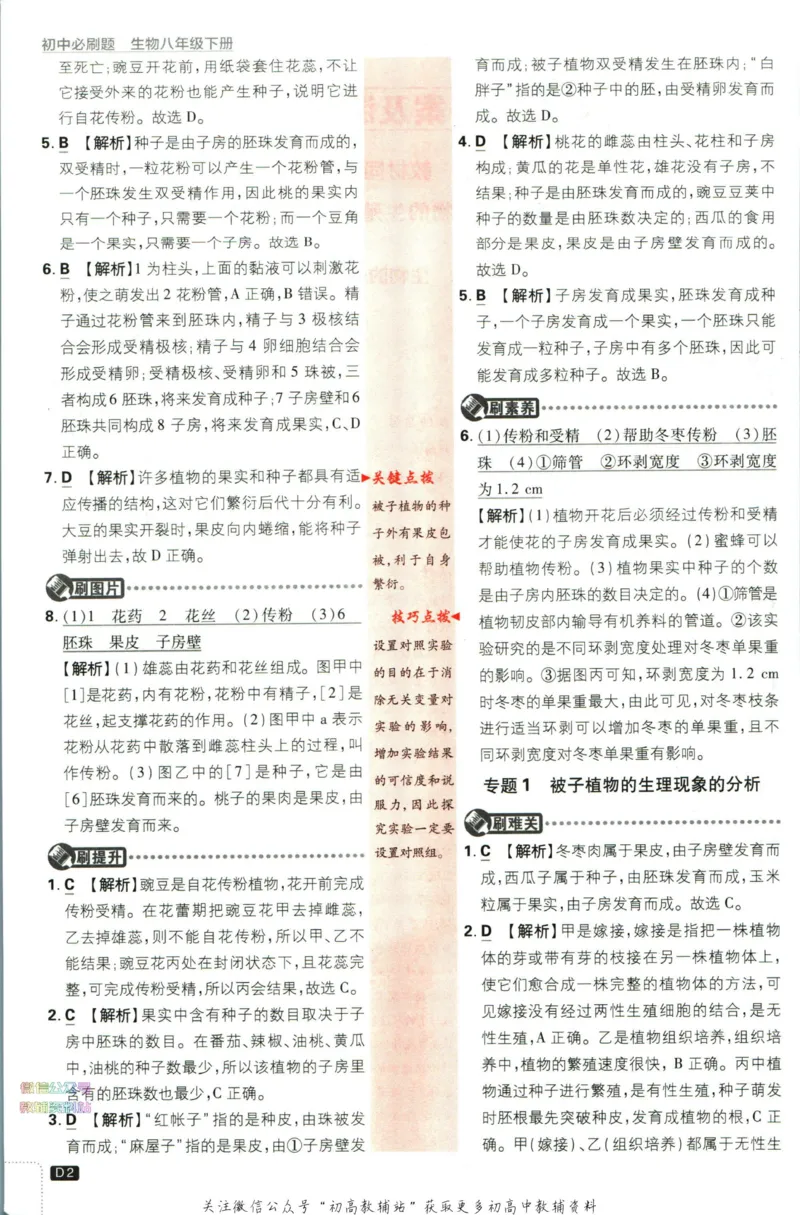 《初中必刷题八年级下册生物苏教版答案_2、2025初中必刷题合集_初中必刷题23+24+25上册_2023版》第3页预览