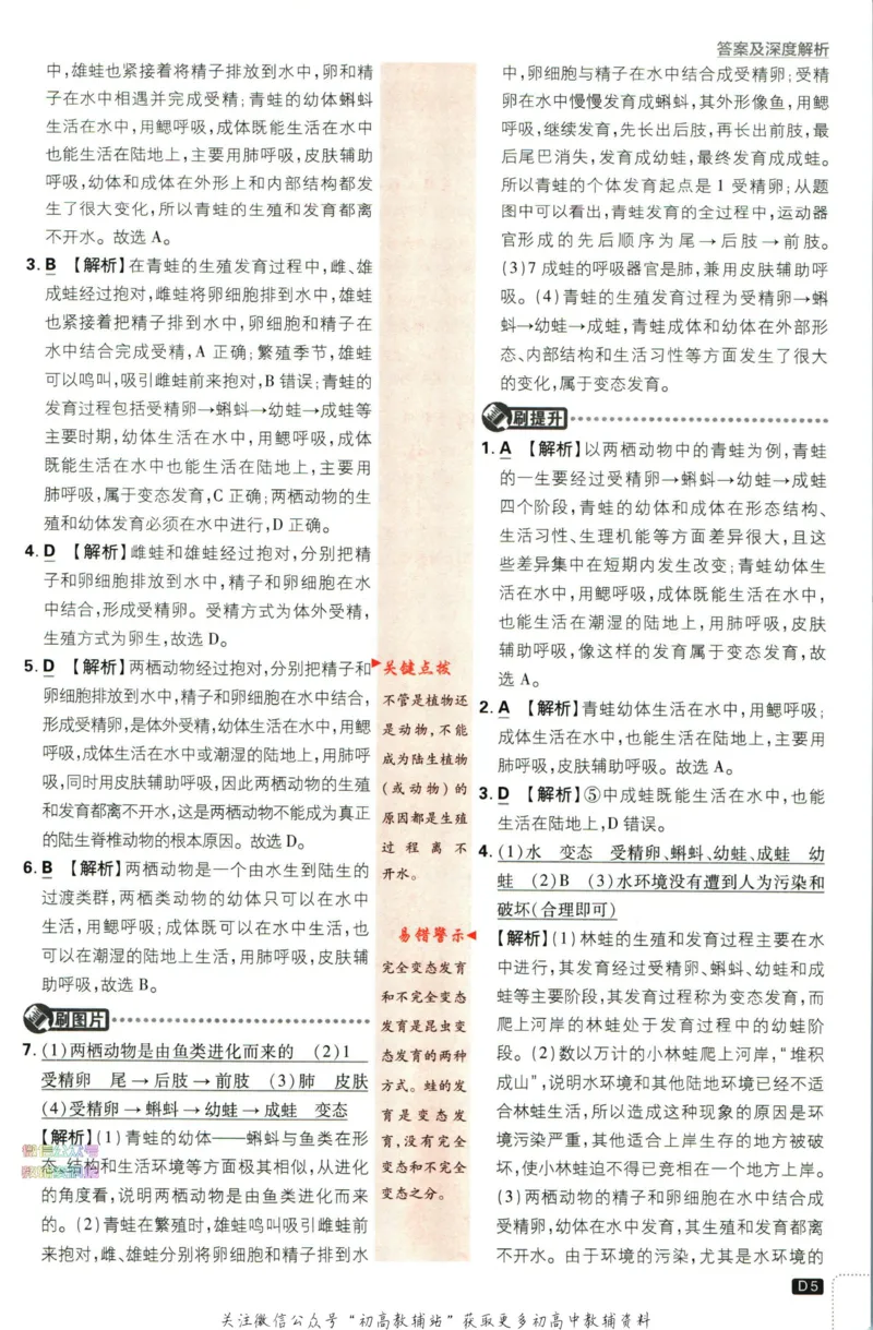 《初中必刷题八年级下册生物苏教版答案_2、2025初中必刷题合集_初中必刷题23+24+25上册_2023版》第6页预览