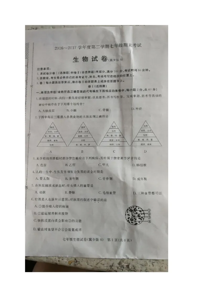 《河北省石家庄市新华区2016-2017学年七年级下学期期末考试生物试题（图片版）_初中全科目同步习题+精品试卷（7-9年级）(1)_25秋初中生物《同步习题+精品试卷》_初中生物试卷（冀少版）》第1页预览