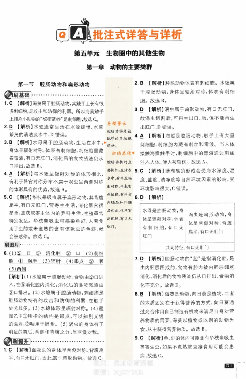 《初中必刷题八年级上册生物人教版答案_2、2025初中必刷题合集_初中必刷题23+24+25上册_2024版（部分上册）》第1页预览