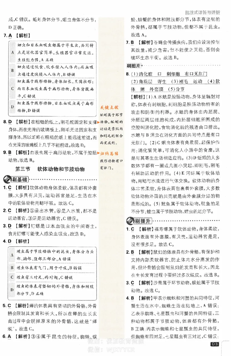 《初中必刷题八年级上册生物人教版答案_2、2025初中必刷题合集_初中必刷题23+24+25上册_2024版（部分上册）》第3页预览