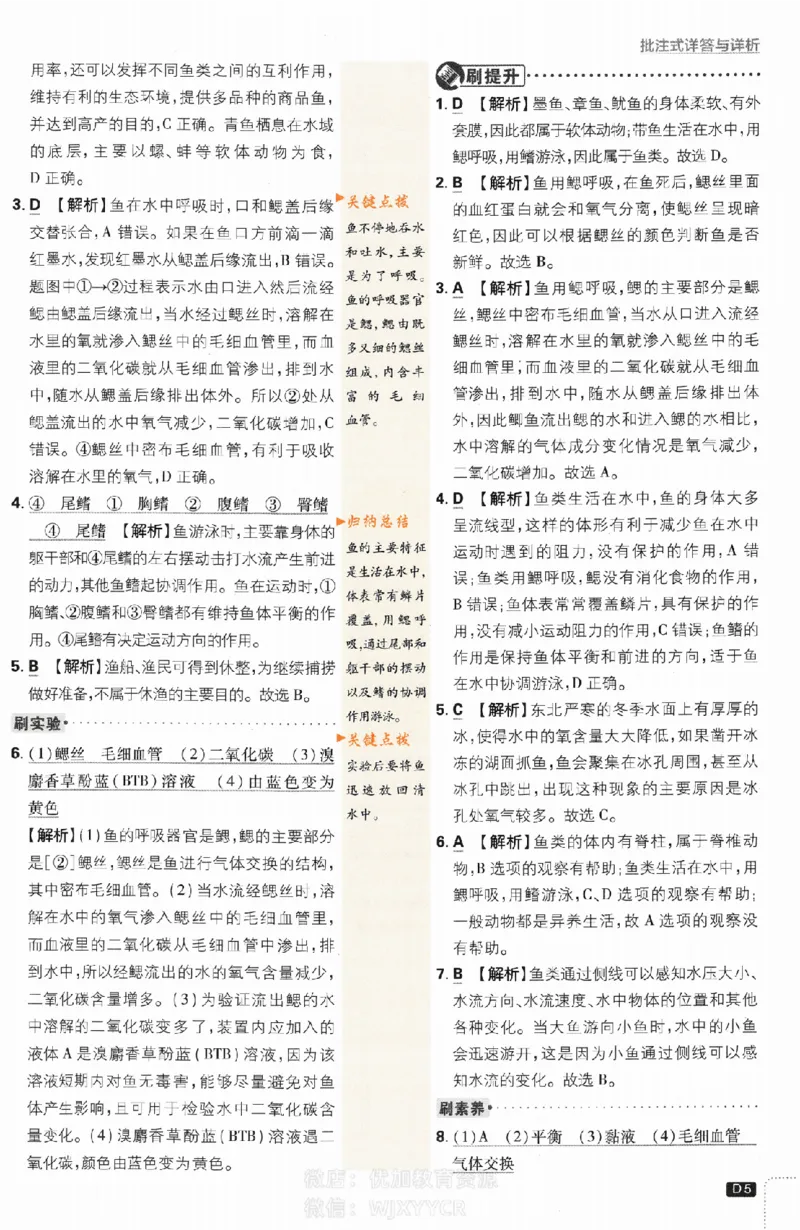 《初中必刷题八年级上册生物人教版答案_2、2025初中必刷题合集_初中必刷题23+24+25上册_2024版（部分上册）》第5页预览