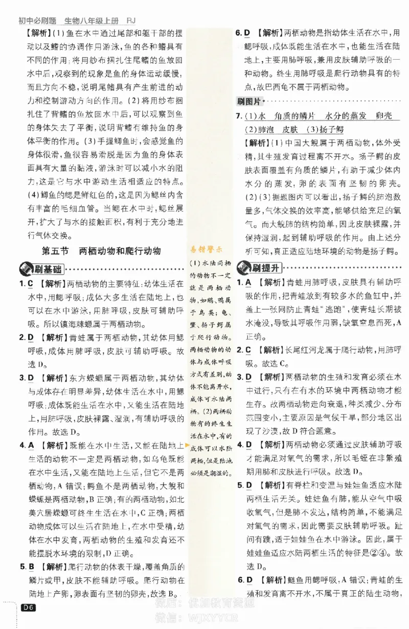 《初中必刷题八年级上册生物人教版答案_2、2025初中必刷题合集_初中必刷题23+24+25上册_2024版（部分上册）》第6页预览