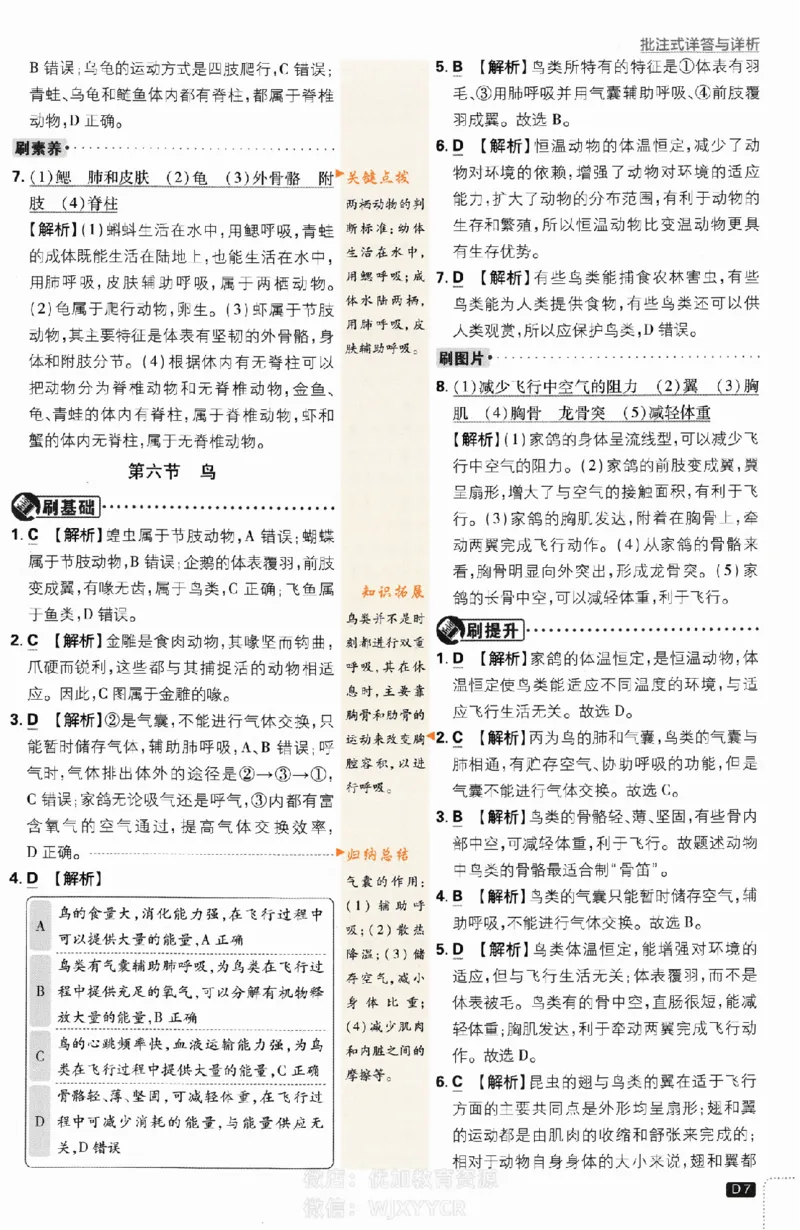 《初中必刷题八年级上册生物人教版答案_2、2025初中必刷题合集_初中必刷题23+24+25上册_2024版（部分上册）》第7页预览