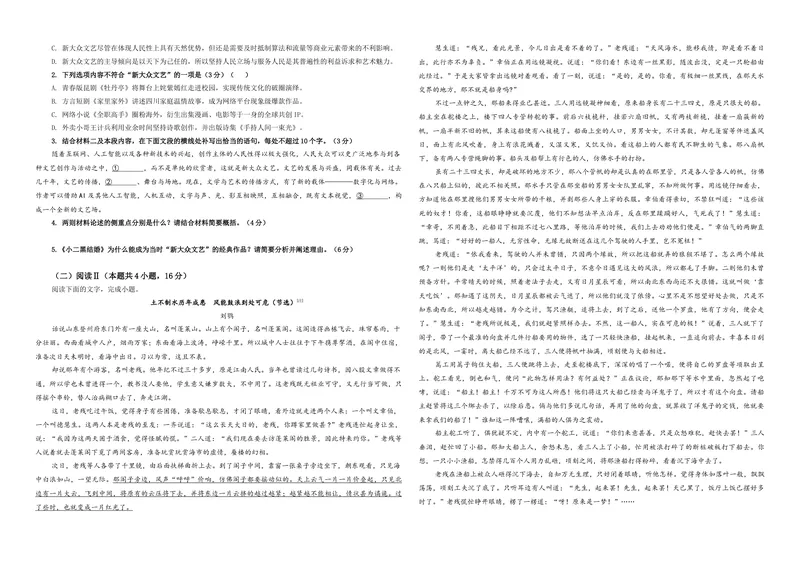 《专题112026届安徽省A10联盟高三上学期9月底学情调研语文试题（学生版）_专项复习_2026年-语文专项复习_192026年高考语文备考：各省市模拟试卷彩色批注解析宝鉴》第2页预览