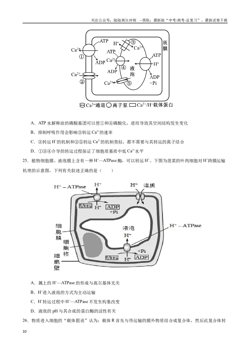 《专题02物质出入细胞的方式（选择题60道）（原卷版）_06-生物-高考总复习_二轮复习_2024年_2024年高考生物二轮复习选择题大题压轴专项训练_资料》第10页预览