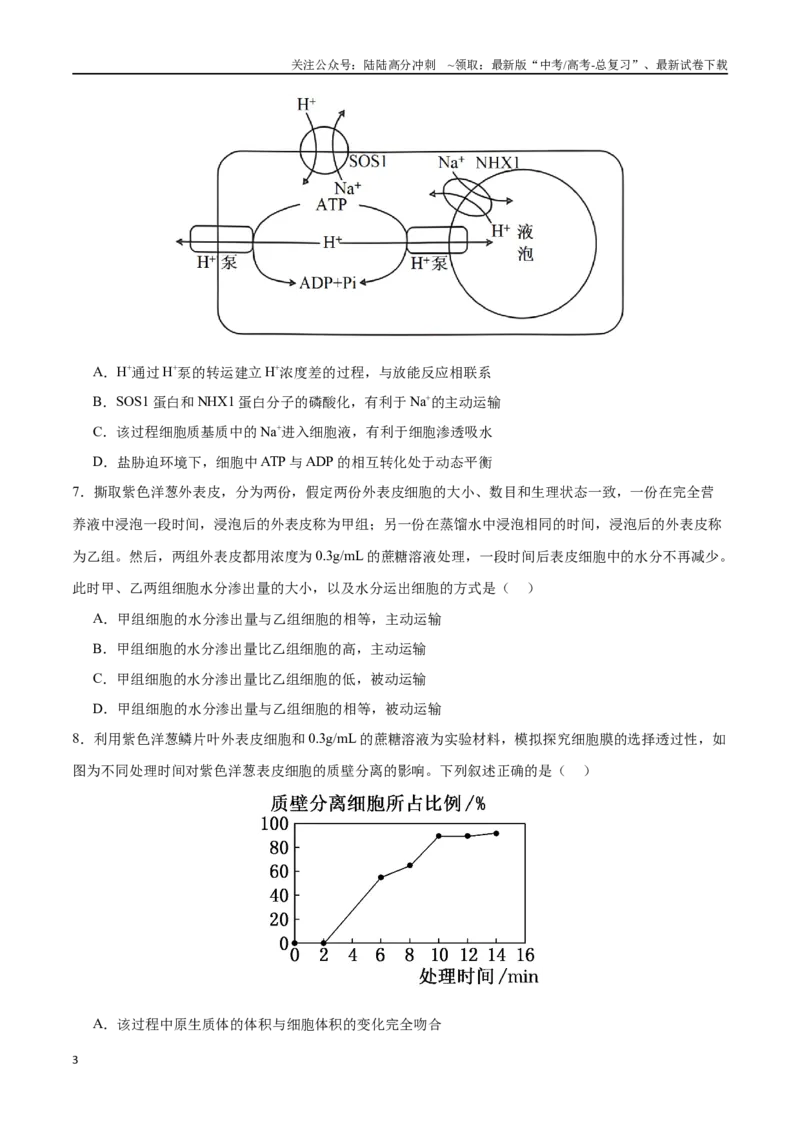 《专题02物质出入细胞的方式（选择题60道）（原卷版）_06-生物-高考总复习_二轮复习_2024年_2024年高考生物二轮复习选择题大题压轴专项训练_资料》第3页预览
