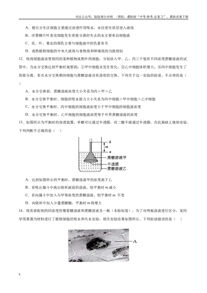 《专题02物质出入细胞的方式（选择题60道）（原卷版）_06-生物-高考总复习_二轮复习_2024年_2024年高考生物二轮复习选择题大题压轴专项训练_资料》第5页预览