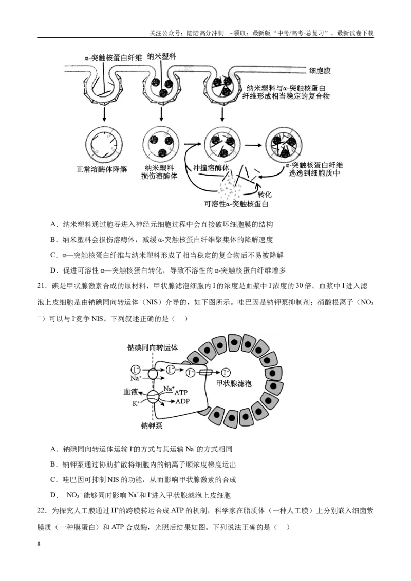 《专题02物质出入细胞的方式（选择题60道）（原卷版）_06-生物-高考总复习_二轮复习_2024年_2024年高考生物二轮复习选择题大题压轴专项训练_资料》第8页预览