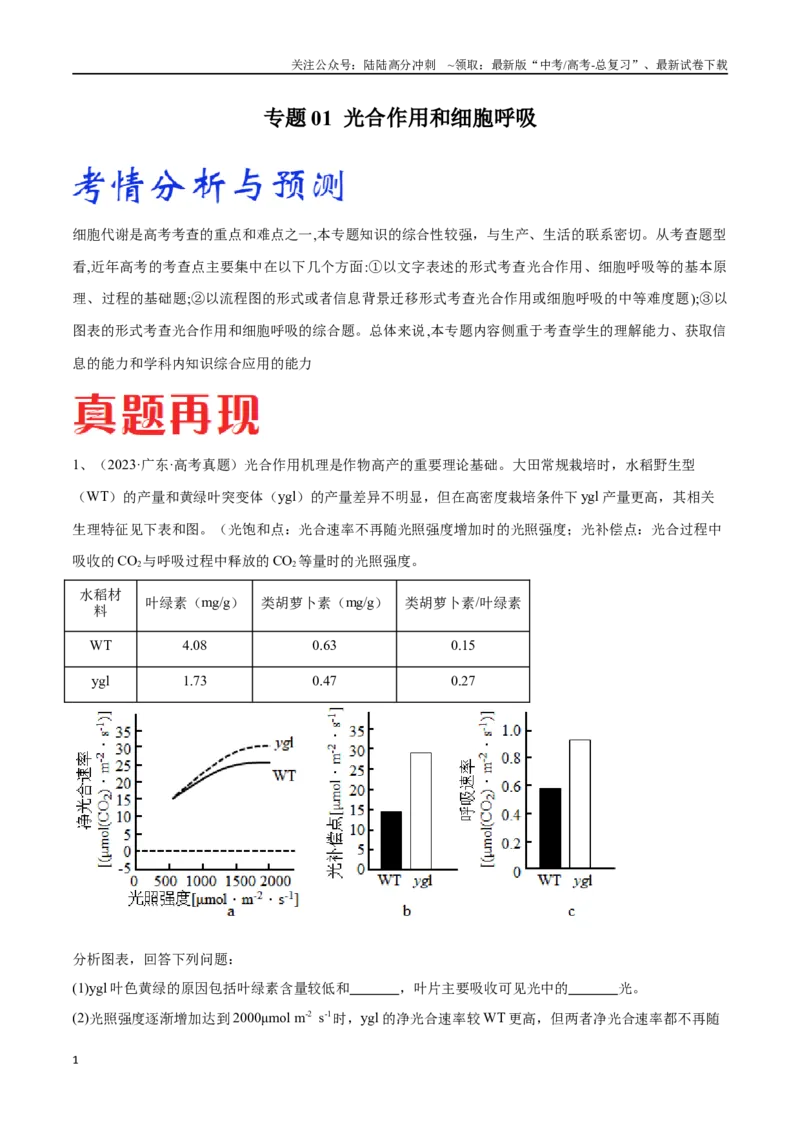 《专题01光合作用和细胞呼吸（广东卷）（解析版）_06-生物-高考总复习_专项复习_2024年_2024年高考生物考前大题秒杀技巧及专项训练_资料》第1页预览