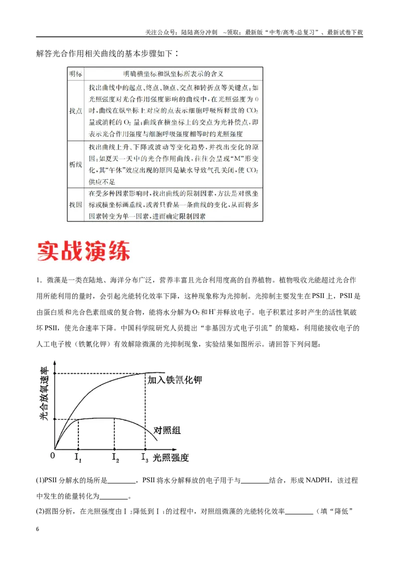 《专题01光合作用和细胞呼吸（广东卷）（解析版）_06-生物-高考总复习_专项复习_2024年_2024年高考生物考前大题秒杀技巧及专项训练_资料》第6页预览
