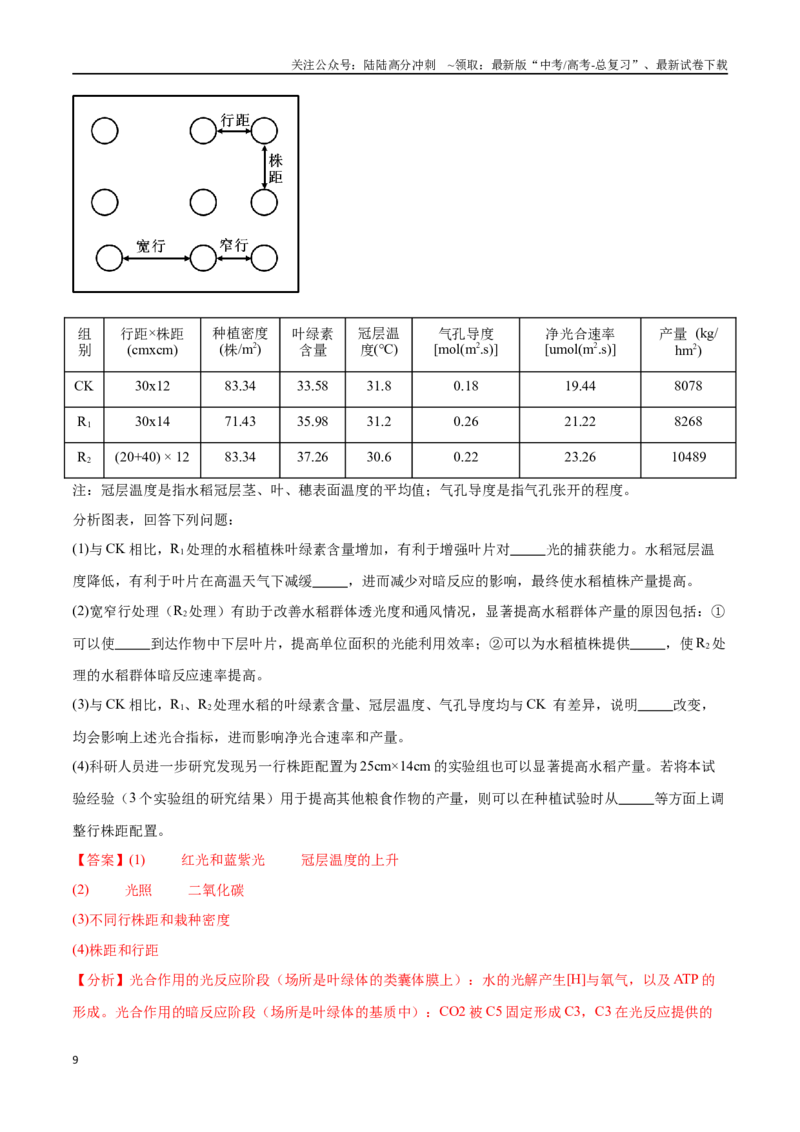 《专题01光合作用和细胞呼吸（广东卷）（解析版）_06-生物-高考总复习_专项复习_2024年_2024年高考生物考前大题秒杀技巧及专项训练_资料》第9页预览