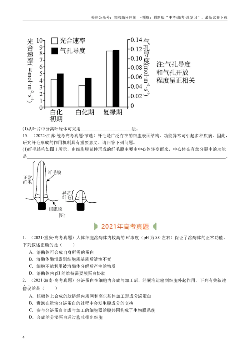《专题02细胞的结构和功能（原卷版）_06-生物-高考总复习_专项复习_2024年_2024年新高考生物复习热点考点真题模拟题必刷题练_资料》第4页预览