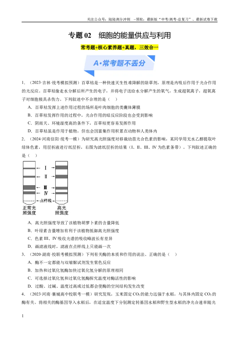 《专题02细胞的能量供应与利用（分层练）（原卷版）_06-生物-高考总复习_二轮复习_2024年_2024年高考生物二轮复习高频考点追踪与预测（新高考专用）_分层练》第1页预览