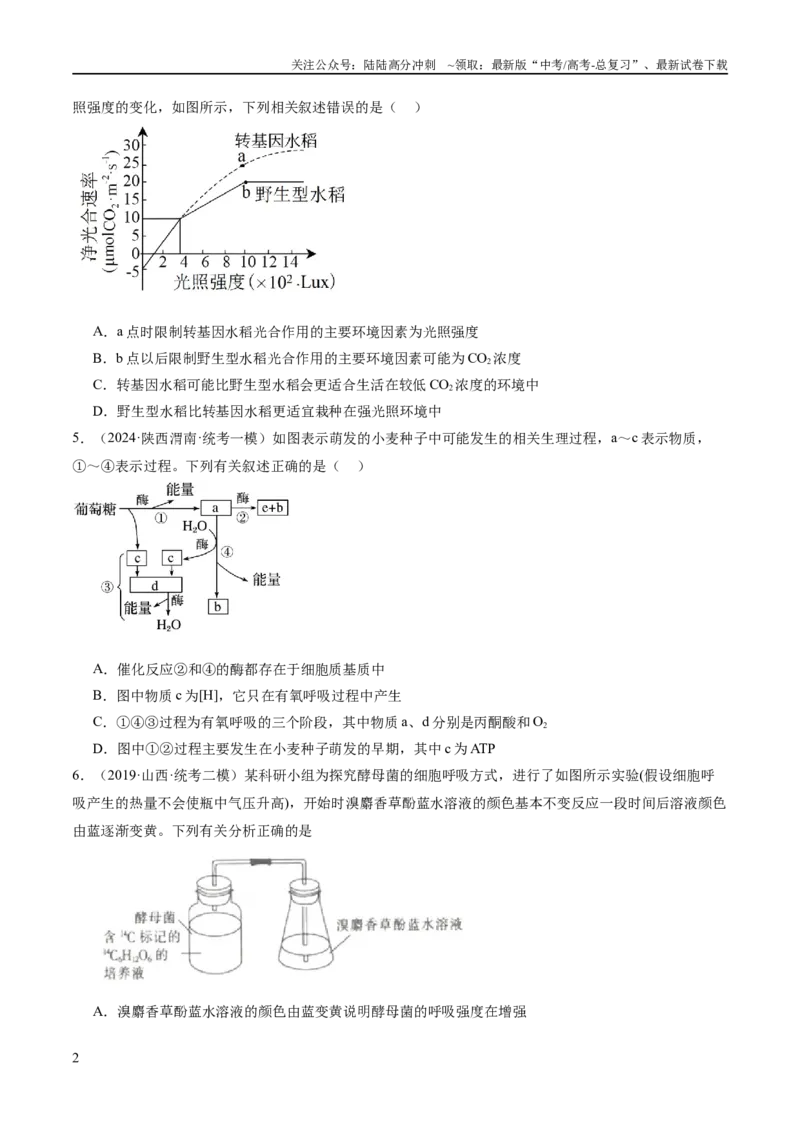 《专题02细胞的能量供应与利用（分层练）（原卷版）_06-生物-高考总复习_二轮复习_2024年_2024年高考生物二轮复习高频考点追踪与预测（新高考专用）_分层练》第2页预览
